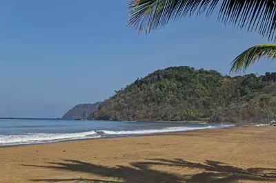 a beach with a palm tree and the ocean at Best Western Jaco Beach All Inclusive Resort in Jacó