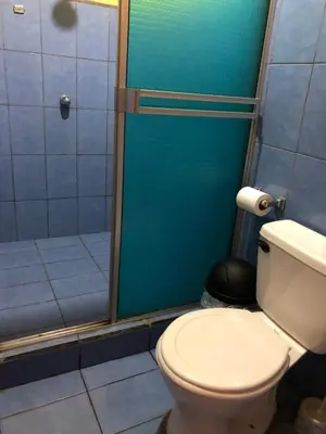 a bathroom with a toilet and a shower at Cabinas Yolymar in Puntarenas