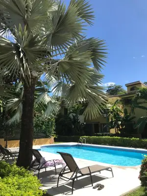 a palm tree and chairs next to a swimming pool at Casa Sueno Colibri in Tamarindo