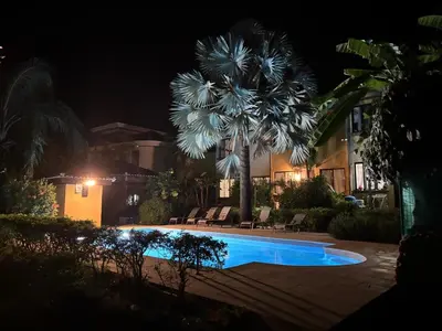 a palm tree and a swimming pool at night at Casa Sueno Colibri in Tamarindo