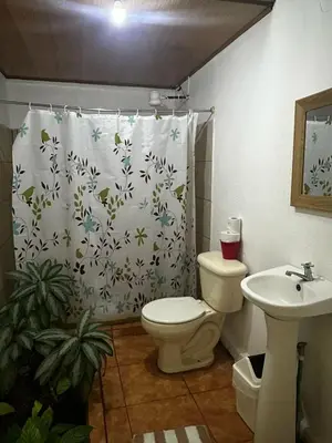 a bathroom with a toilet and a shower curtain at Hotel Cortez Azul in Alajuela City