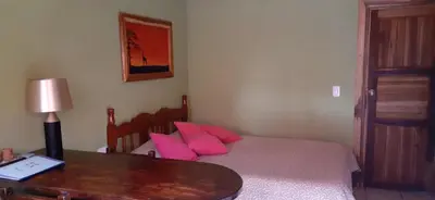 a bedroom with a bed with pink pillows and a table at Alojamientos Norte y Sur in Monteverde Costa Rica