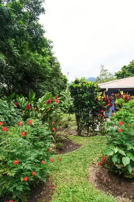 a garden with red flowers and trees and a building at Sueño Río Celeste Boutique B&B in Bijagua
