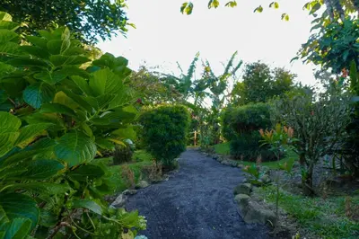 a path through a garden with plants and trees at Sueño Río Celeste Boutique B&B in Bijagua