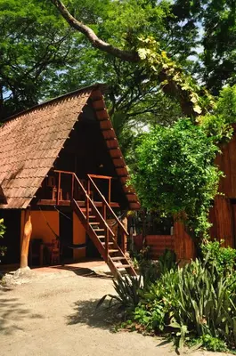 a log cabin with a staircase in front of it at Howler Monkey Hotel in Montezuma