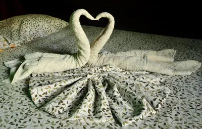 two white swans sitting on top of a bed at Howler Monkey Hotel in Montezuma