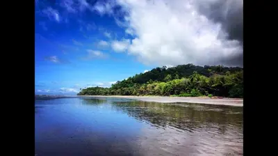 a view of a beach with trees and water at Private Home in Montezuma with Ocean View in Montezuma