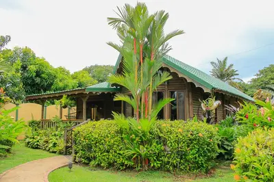 a small house with a palm tree in front of it at Bungalows Ballena in Uvita