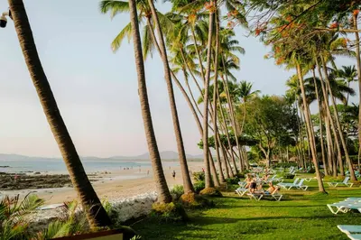 a group of palm trees on the beach at Hotel Tamarindo Diria Beach Resort in Tamarindo