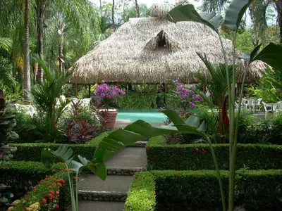 a garden with a thatch hut and a swimming pool at La Palapa Ecolodge in Portalón