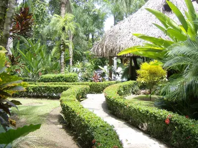 a garden with bushes and a thatch roof at La Palapa Ecolodge in Portalón