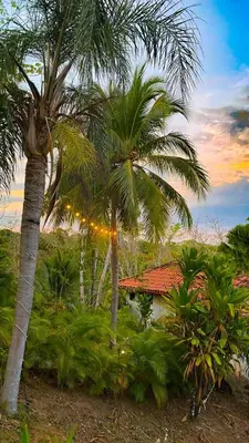 a couple of palm trees in front of a house at Finca Los Caballos Montezuma in Montezuma