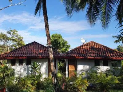 a house with a palm tree in front of it at Finca Los Caballos Montezuma in Montezuma