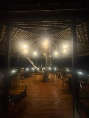 a large room with a tree in the middle at Finca Los Caballos Montezuma in Montezuma