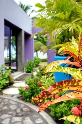 a house with colorful plants in front of it at Alma del Pacifico Hotel & Spa in Esterillos Este