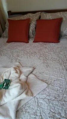 a bed with a white blanket and red pillows at Casa entre la naturaleza in San Marcos