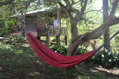 a hammock hanging from a tree in front of a house at Eco Granja Don Lolo in Quesada