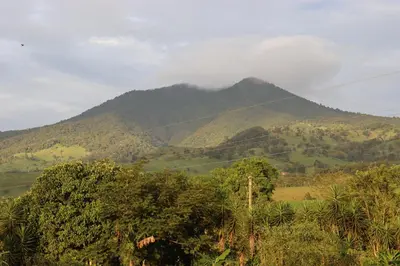 a mountain in the distance with trees in front of it at Eco Granja Don Lolo in Quesada