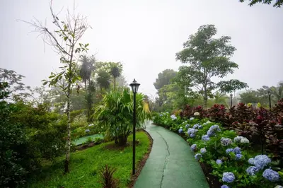 a path in a garden with flowers and a street light at Eco Granja Don Lolo in Quesada