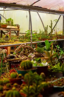 a greenhouse filled with lots of plants and vegetables at Eco Granja Don Lolo in Quesada