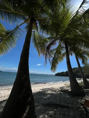 two palm trees on a beach with the ocean at Villas Roma Del Mar in Playa Naranjo
