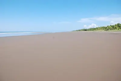 an empty beach with trees in the distance at Beso del Viento (Adults Only) in Parrita