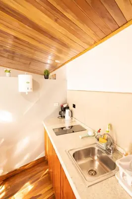 a kitchen with a sink and a wooden ceiling at Gamaí Monteverde Tiny House in Monteverde Costa Rica