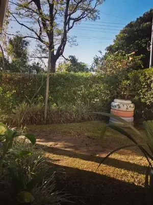 a garden with a bench and trees and bushes at Casa Copalchi in Monteverde Costa Rica