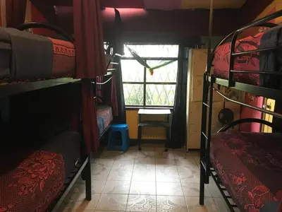 a room with two bunk beds and a window at In the Wind Hostel and Guesthouse in San José