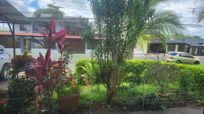 a garden with many different plants in front of a building at Alojamientos N&S in Fortuna