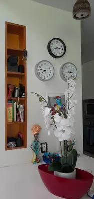 a room with clocks on the wall and a plant at Casa Nadette in Guácima