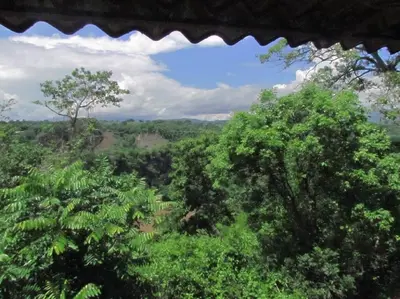 a view of a forest with trees and clouds in the sky at The House of Hummingbird, Costa Rica in Atenas