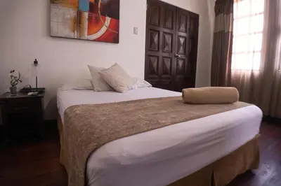 a bedroom with a large white bed and a window at Hotel Casa Colon in San José