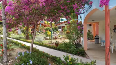 a garden with flowers and trees in a building at Hotel Las Brisas del Pacifico in Sámara
