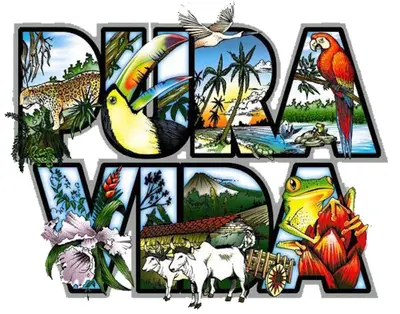 a group of pictures of different types of animals at Boutique Hotel Calle 20 in San José