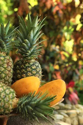 a group of pineapples sitting on top of a table at Aguila de Osa Rainforest Lodge in Drake