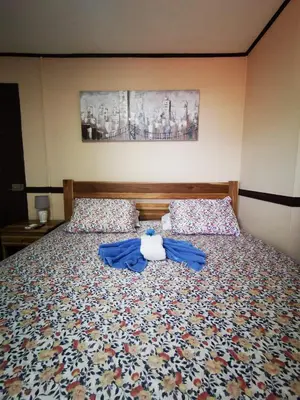 a bedroom with a bed with a teddy bear on it at Toucan Hostel in Alajuela City