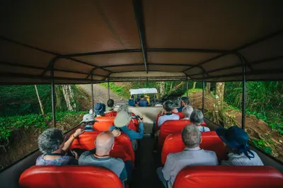 a group of people riding in a boat in the jungle at Tilajari Hotel Resort in Fortuna