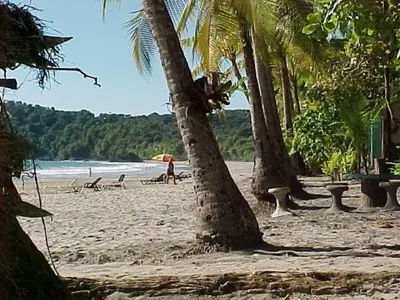 a beach with palm trees and a person with an umbrella at Hotel Villa Romantica in Manuel Antonio
