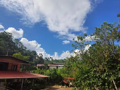 Gallery image of Hospedaje Luis & Ana in Pejibaye