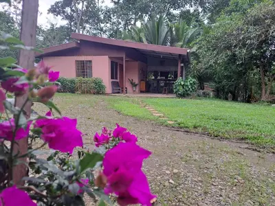 a house with pink flowers in front of it at Hospedaje Luis & Ana in Pejibaye