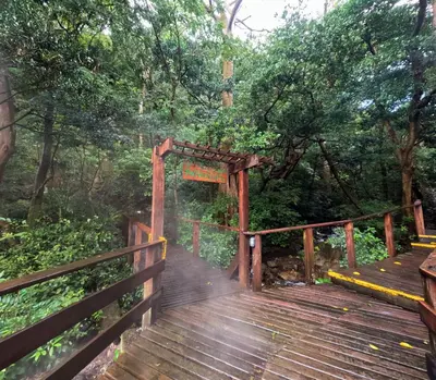 a wooden bridge in the middle of a forest at Borinquen Thermal Resort in Liberia