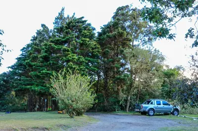 a blue car parked in front of a large tree at Moon Forest Apartments in Monteverde Costa Rica