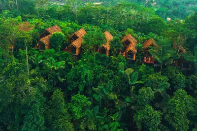 an aerial view of a forest with trees and houses at Amor Arenal Adults Friendly in Fortuna