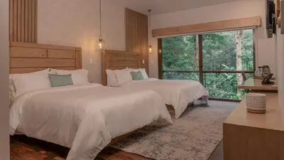 a hotel room with two beds and a window at El Silencio Lodge & Spa Costa Rica in Toro Amarillo