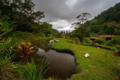 a river with a duck in the middle of a field at Hotel Quelitales in Cachí