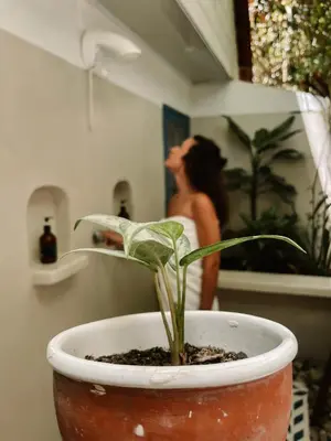 a plant in a pot in front of a woman at Calala Lodge in Cabuya