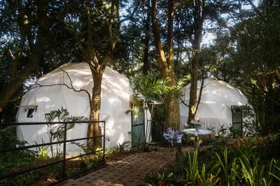 two white domes in a forest with trees at Altura Hotel in Poasito
