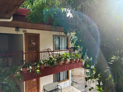 a balcony with a bunch of potted plants on it at Hotel Javy in Liberia