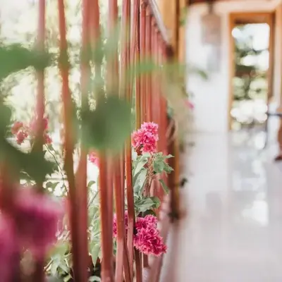 Hotel Javy